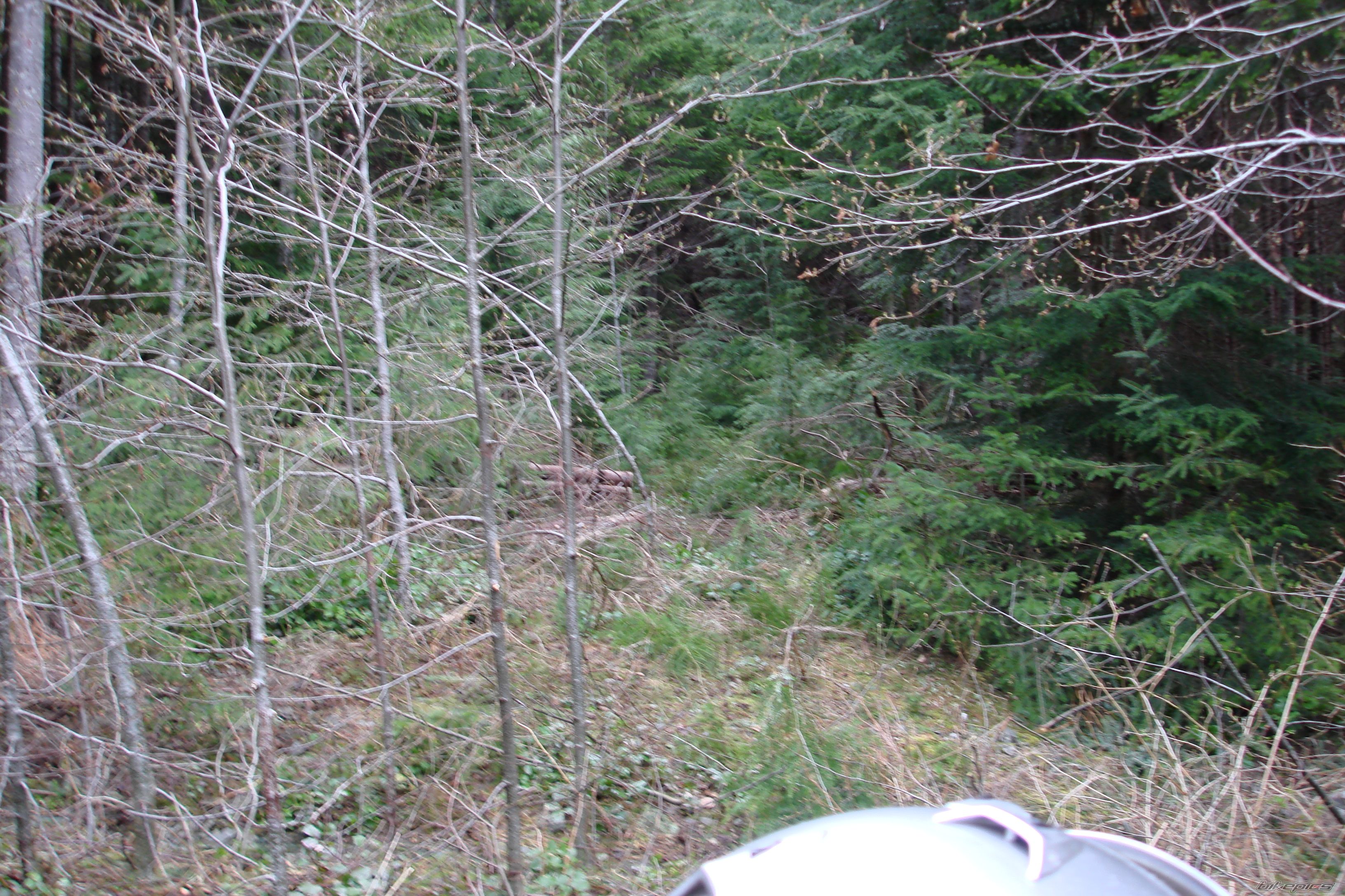 Photo 874798