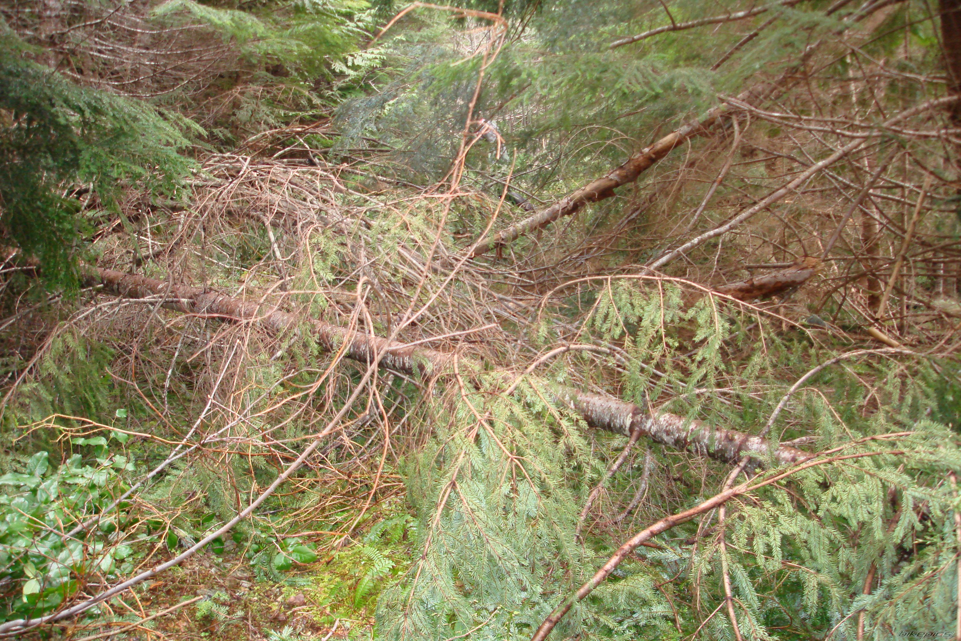 Photo 874804