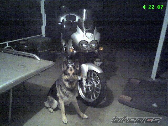 Photo 874861