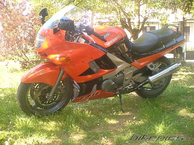 Photo 875000
