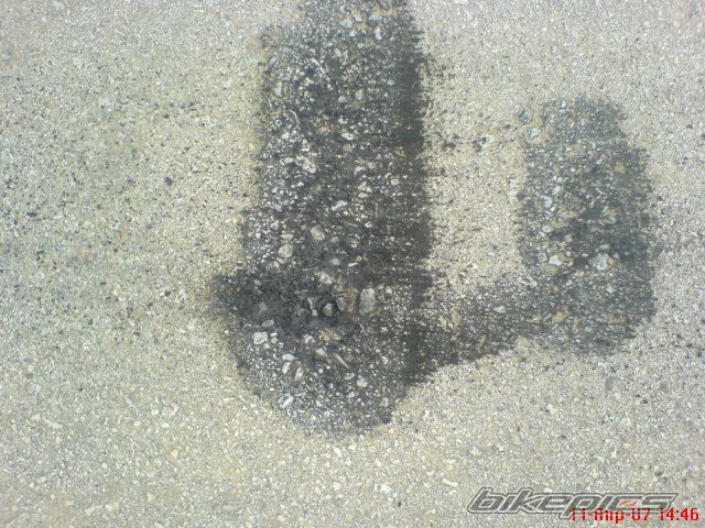 Photo 875271