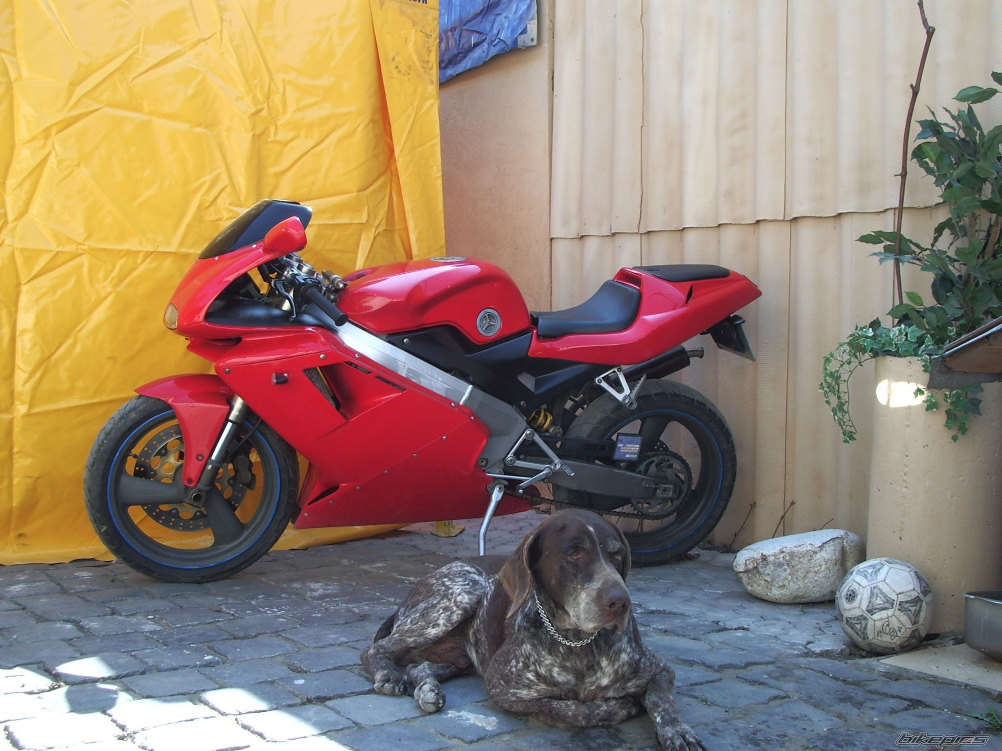 Bike Photo 875478