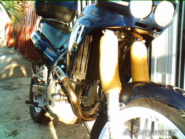Photo 875545