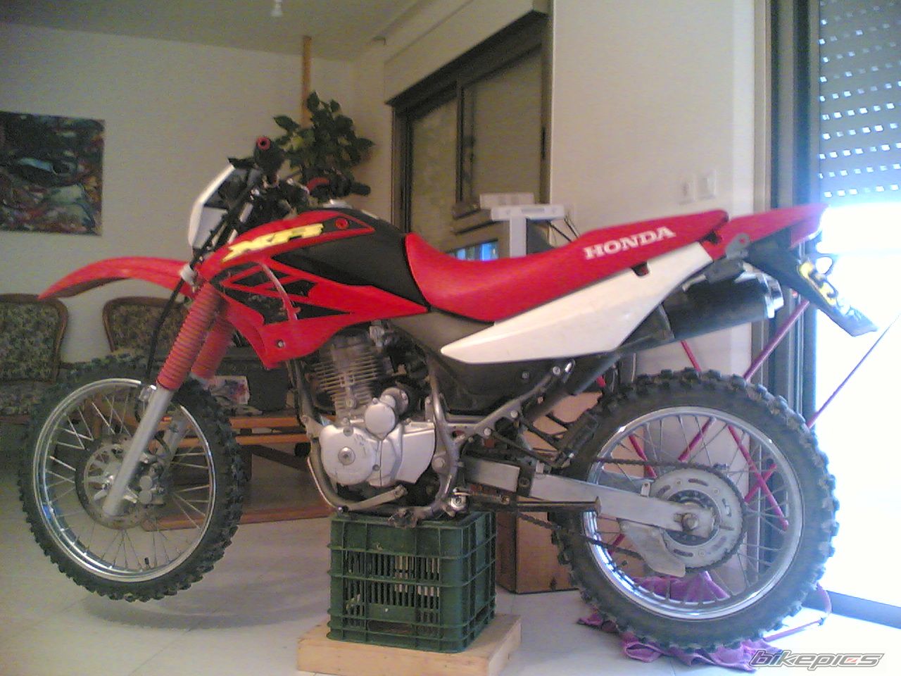 Photo 875772