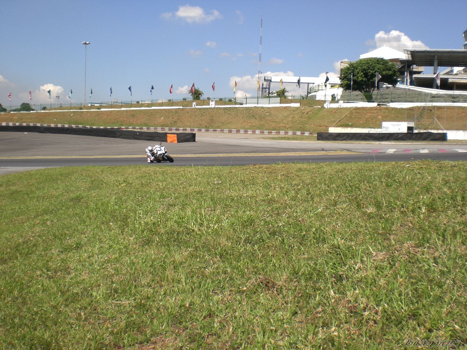 Photo 875825