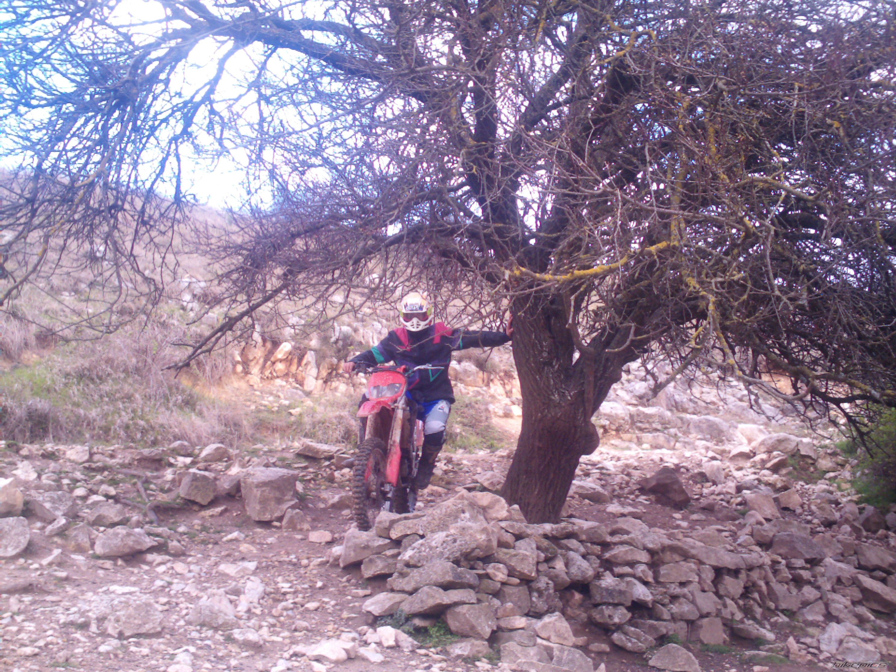 Photo 876415