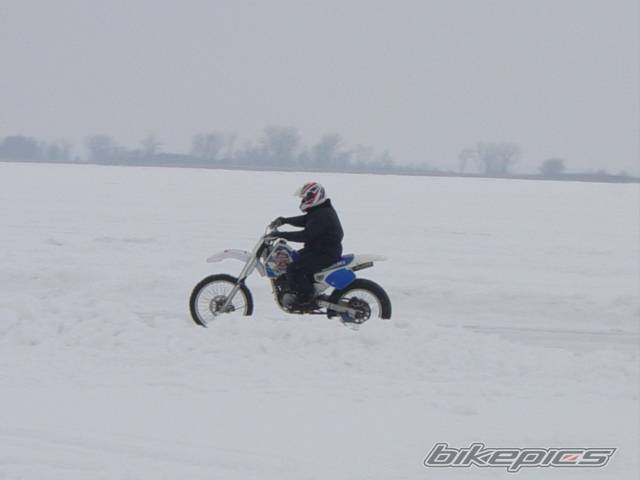 Photo 87677