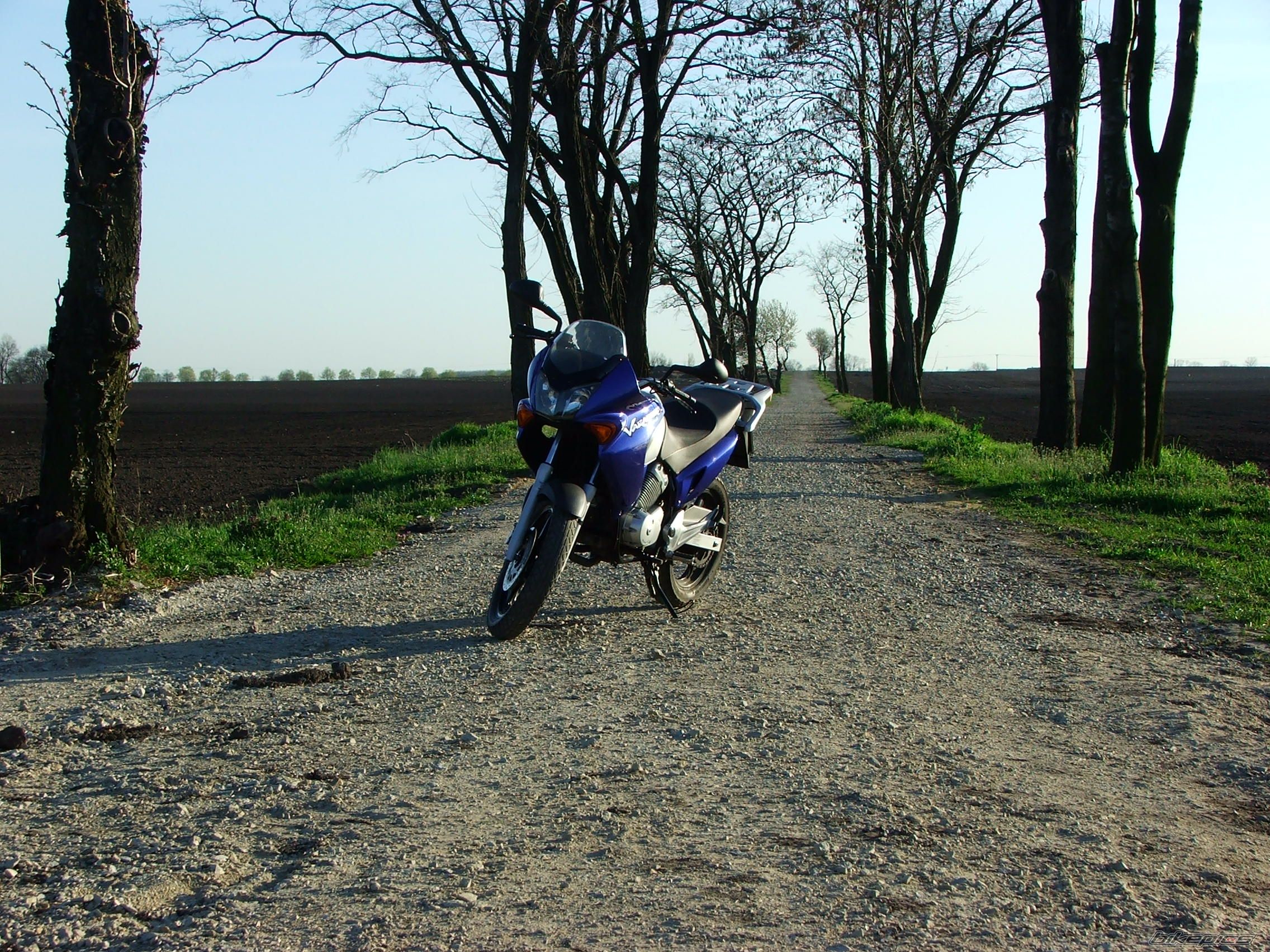 Bike Photo 877226