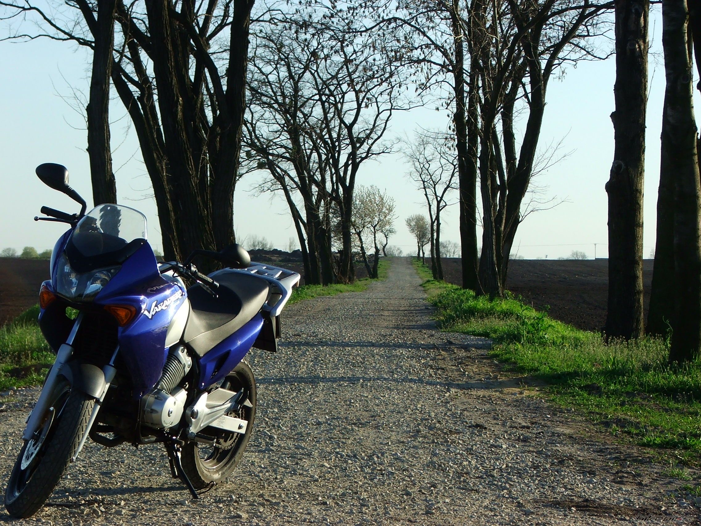 Bike Photo 877229