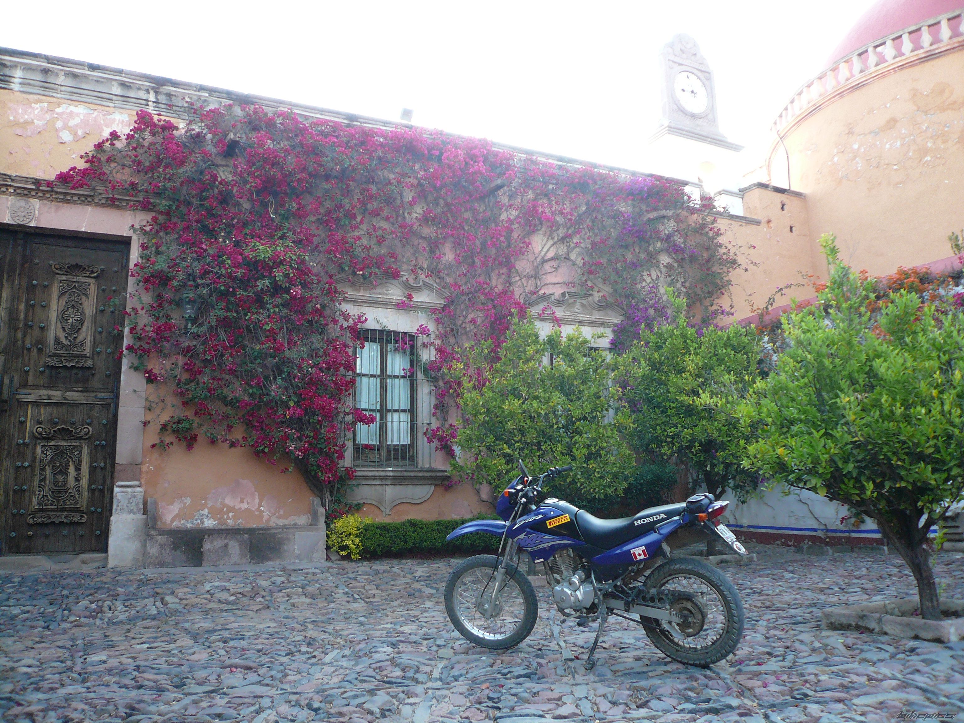 Bike Photo 877289