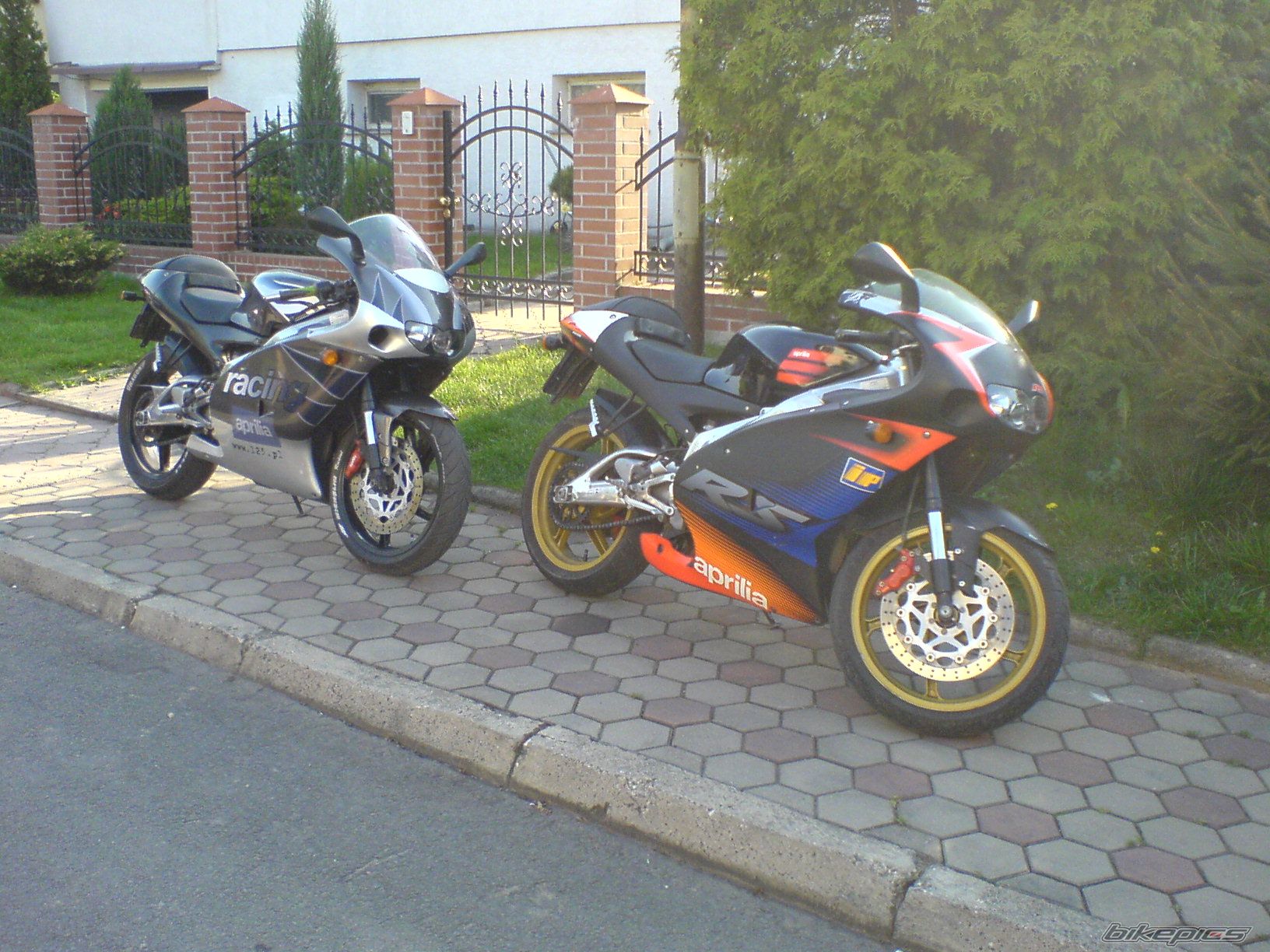 Photo 877462
