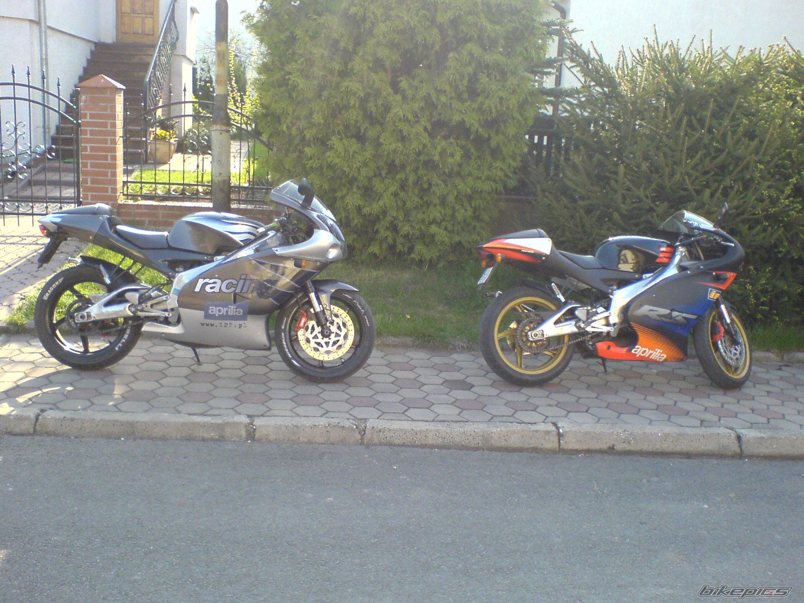 Photo 877466