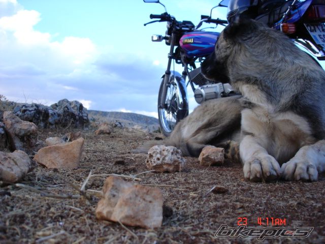 Photo 877850