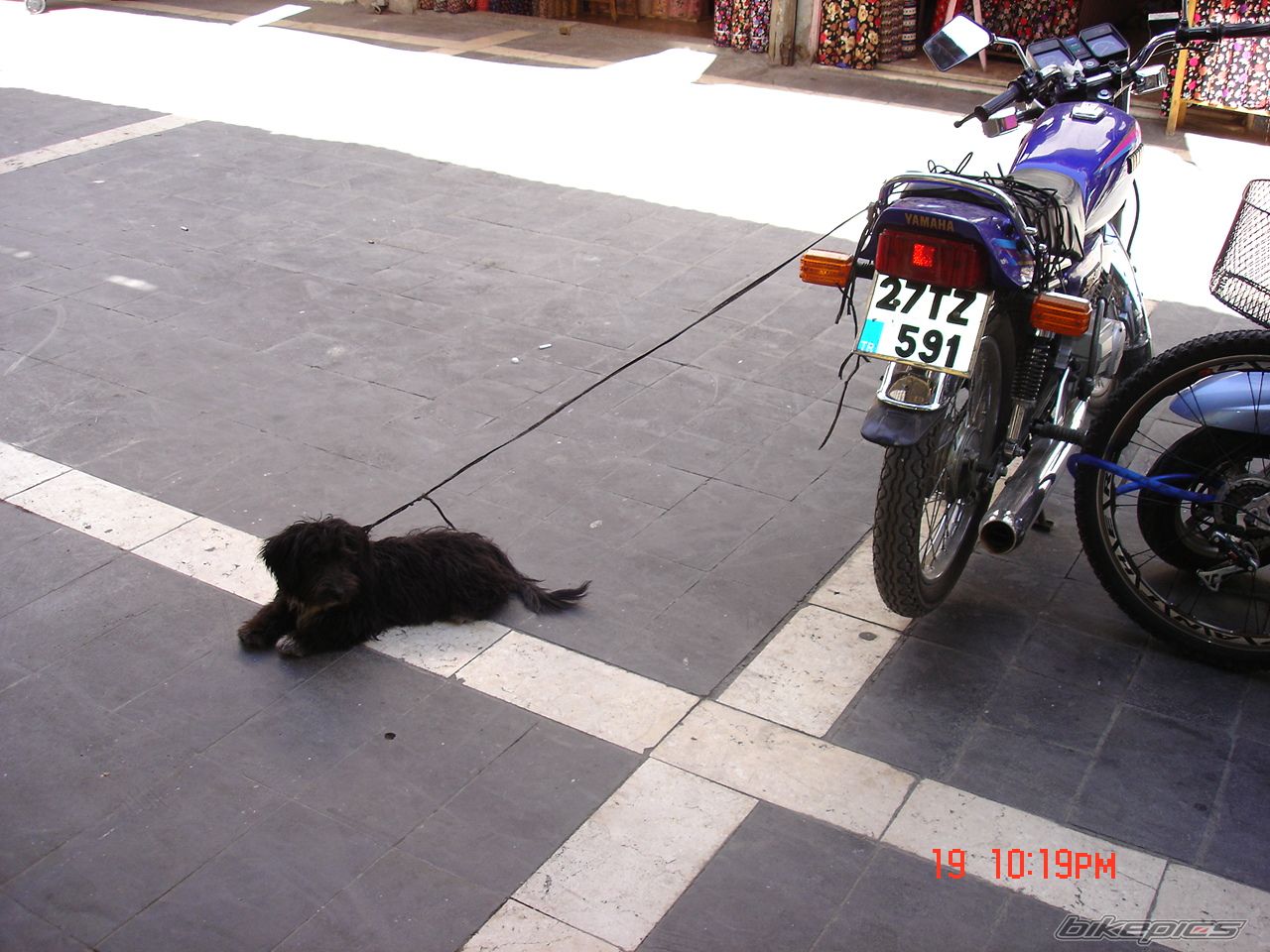 Photo 877855