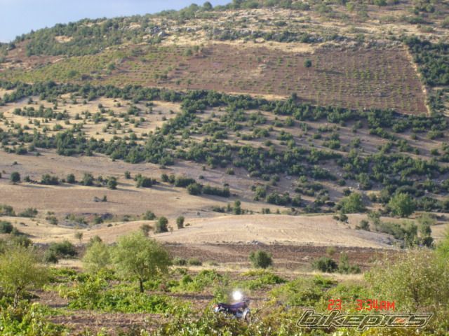 Photo 877857