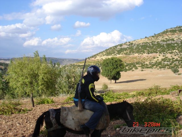 Photo 877858