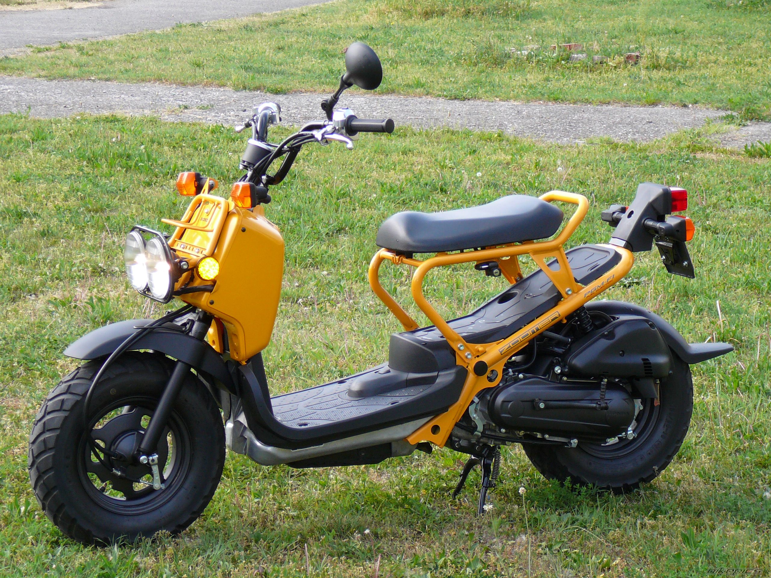 Photo 877871