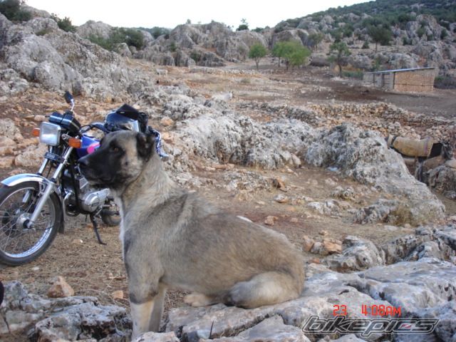 Photo 877873