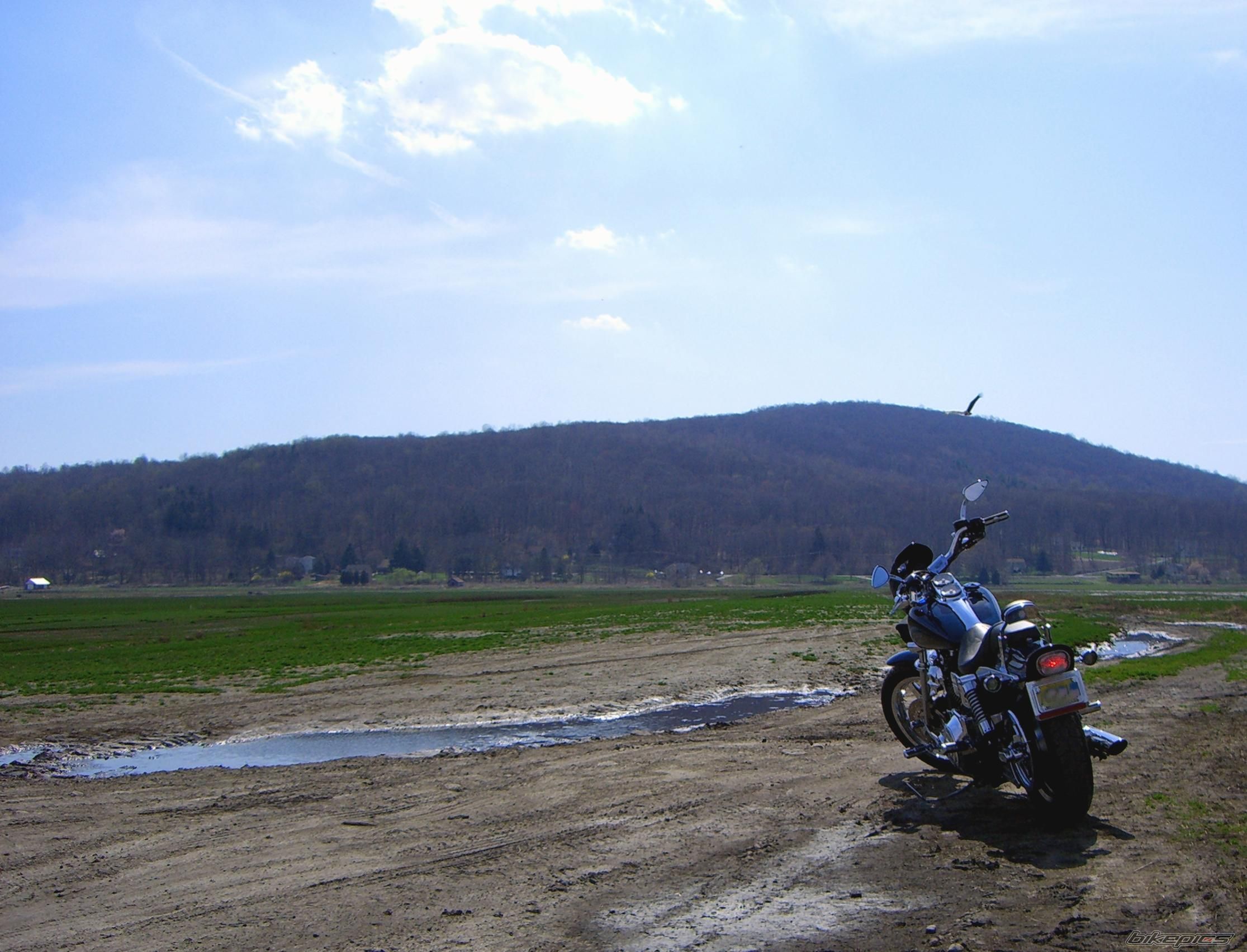 Photo 878184