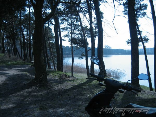 Photo 878217