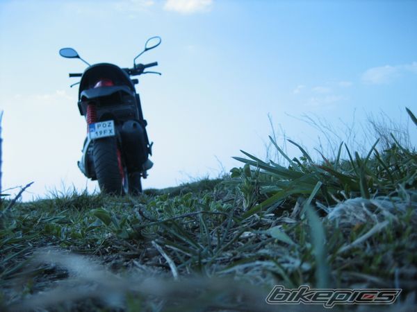 Photo 878218