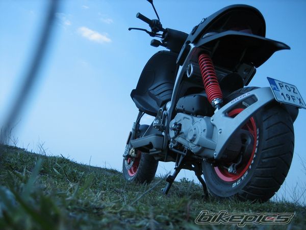 Photo 878219