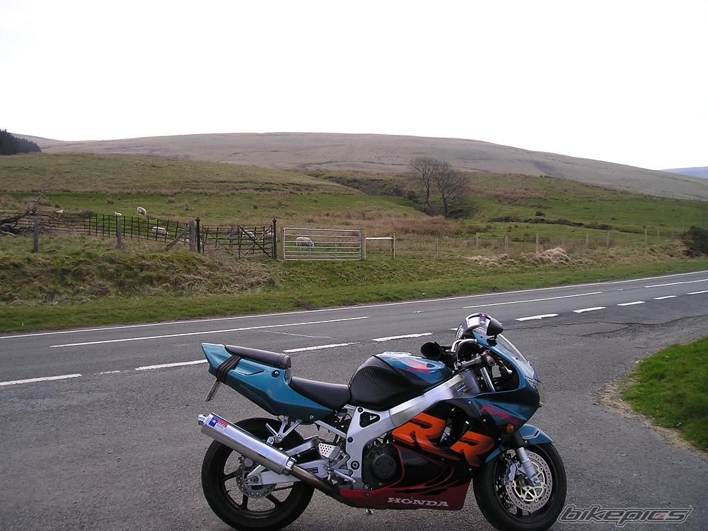 Photo 878298