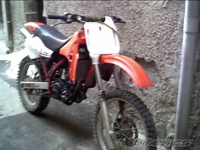 Photo 87837