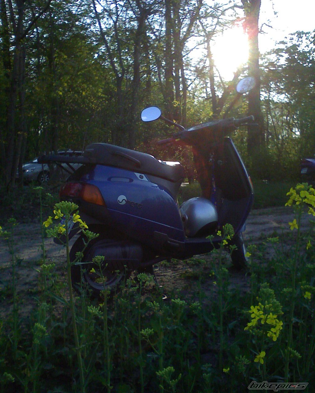 Photo 878403