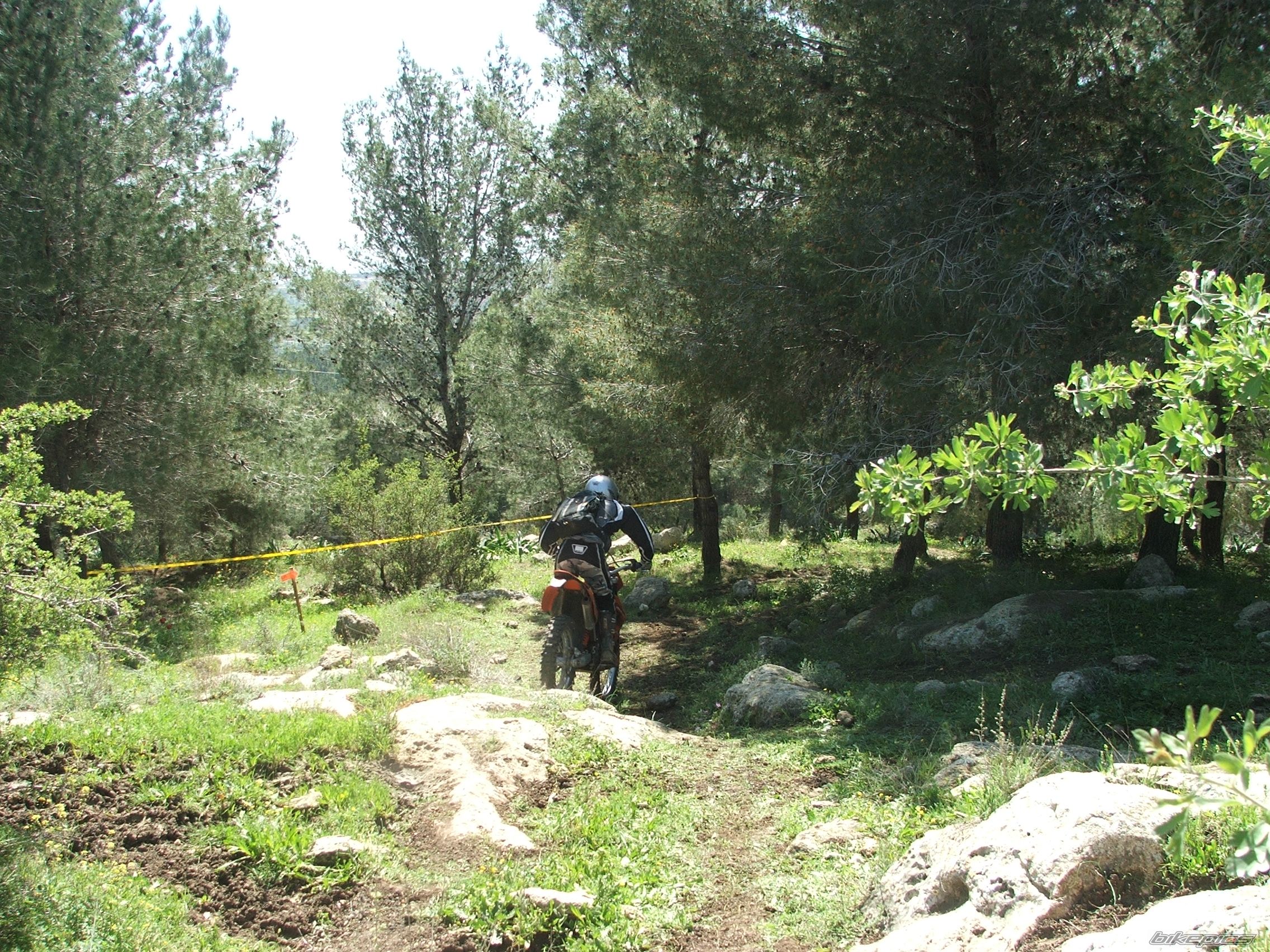Photo 878417