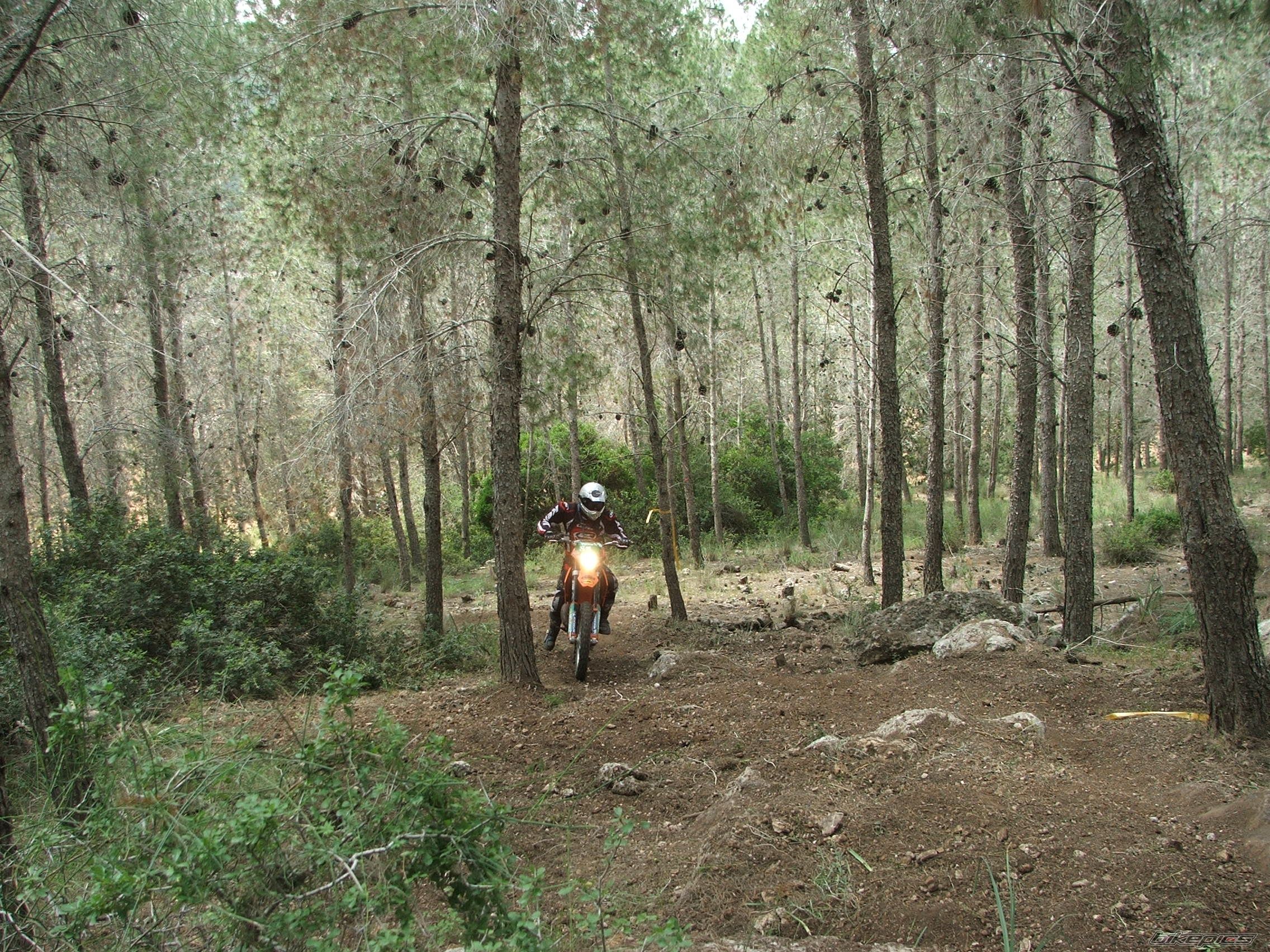 Photo 878450