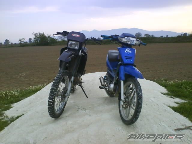 Photo 878455