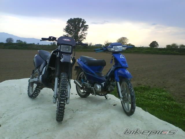 Photo 878458