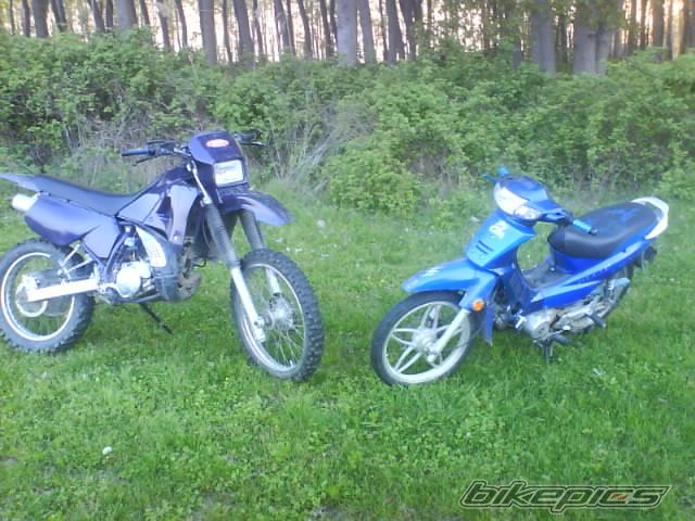 Photo 878463