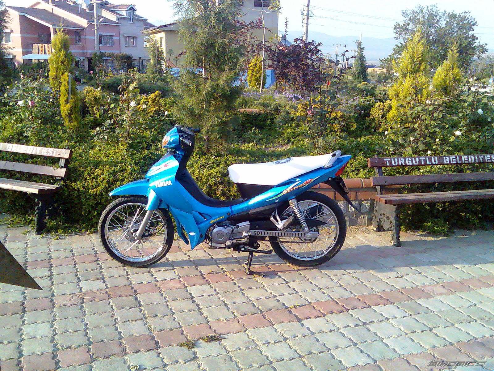 Photo 878496