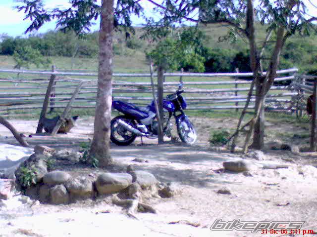 Photo 878533