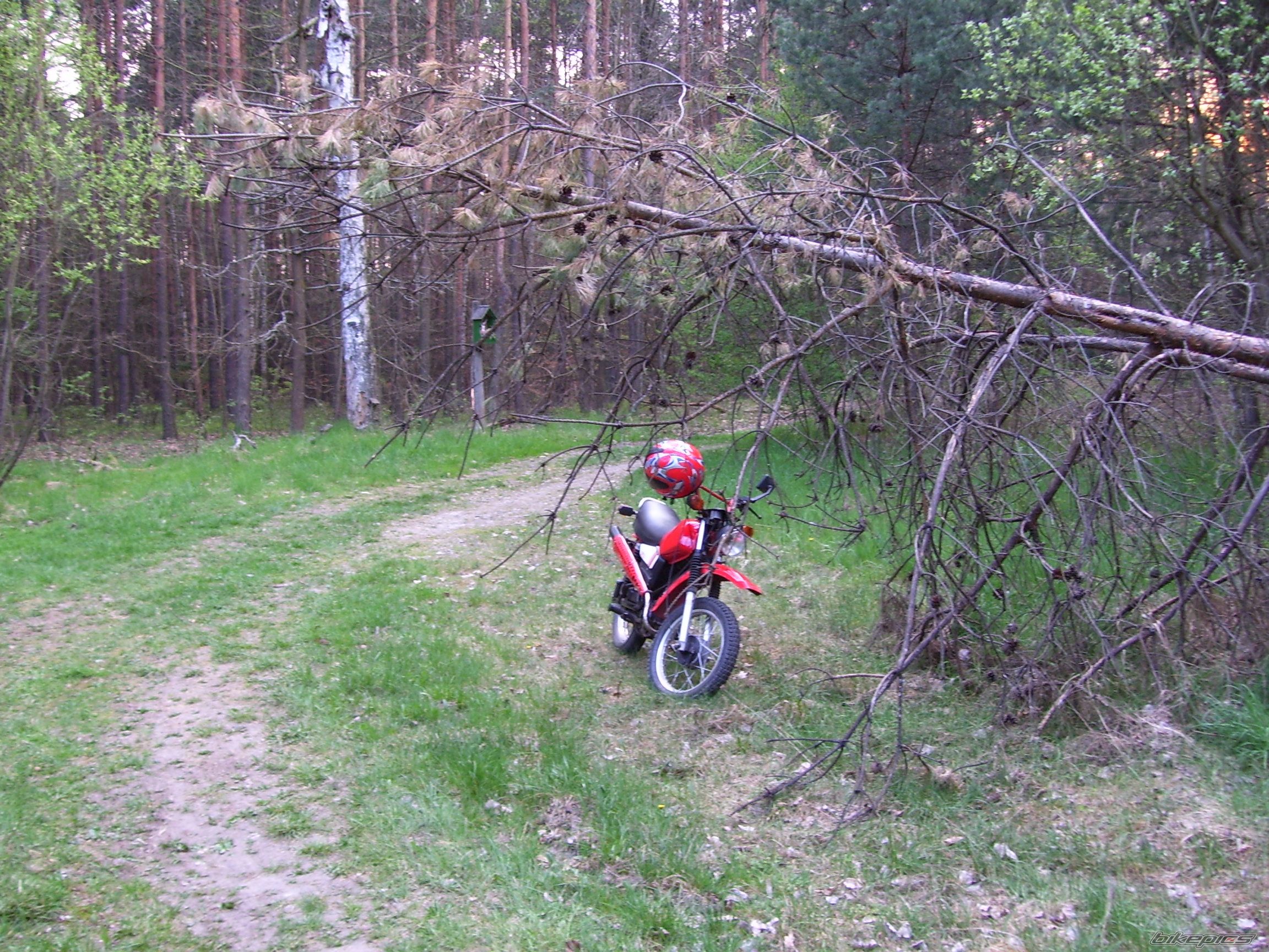 Photo 878539