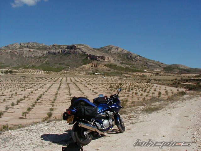 Photo 878698