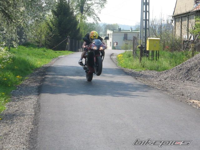 Photo 878806