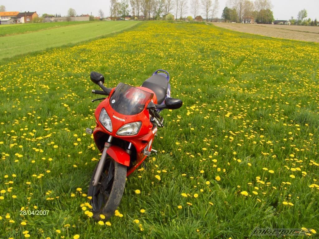 Bike Photo 878896