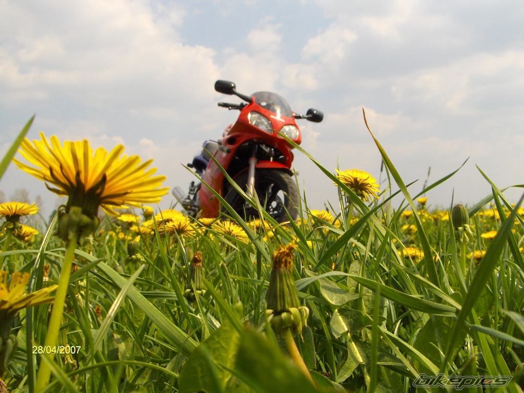Bike Photo 878924