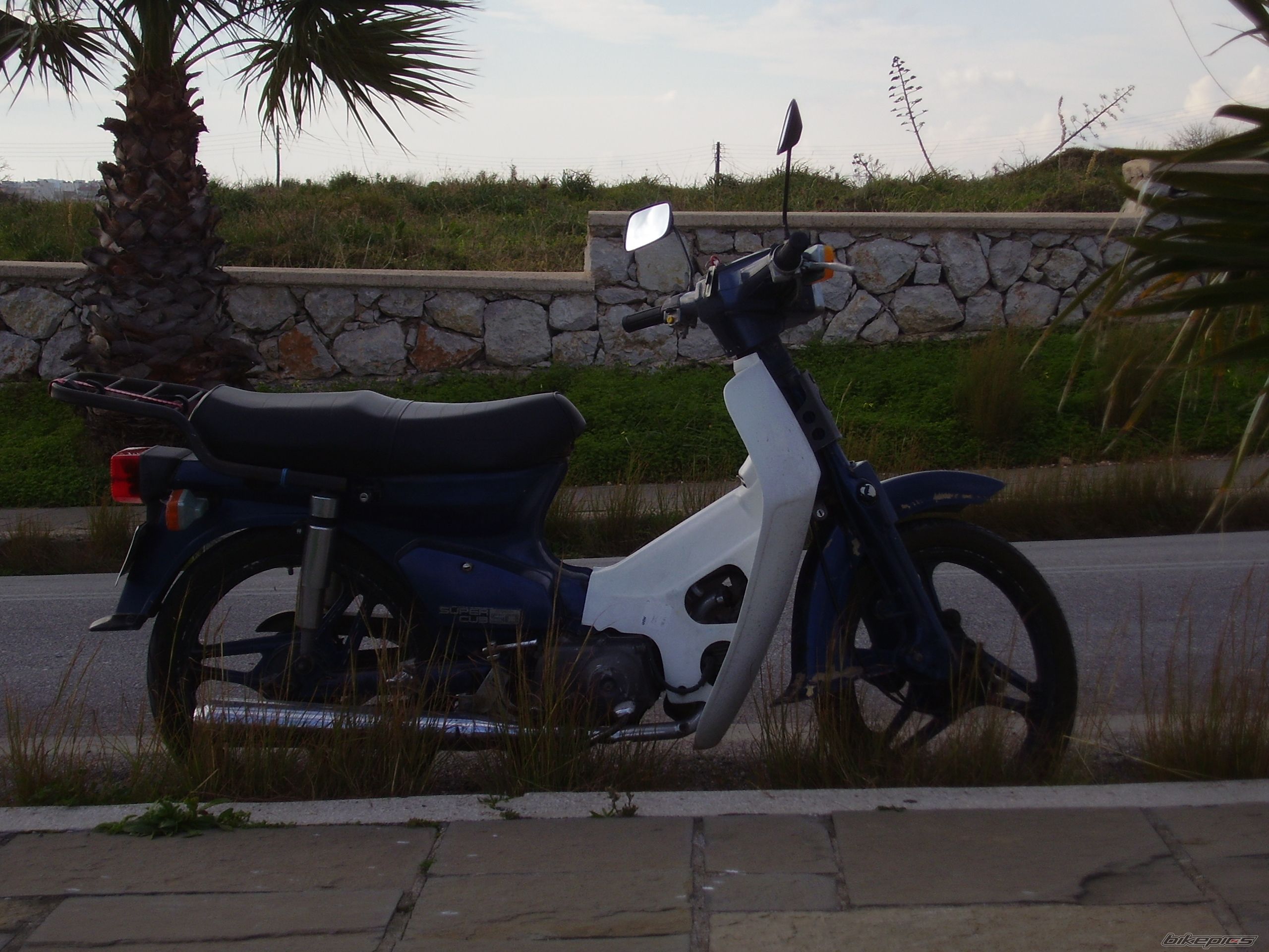 Photo 878942