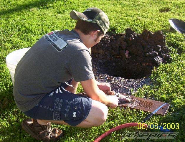 Photo 87923