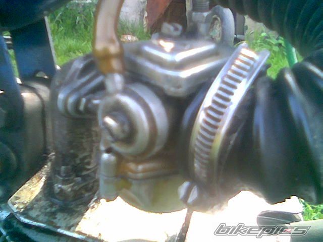 Photo 879371