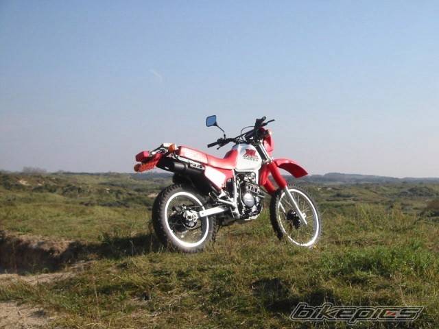 Photo 87957