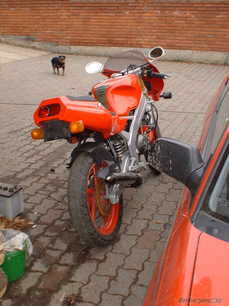 Photo 87969