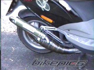 Photo 87976