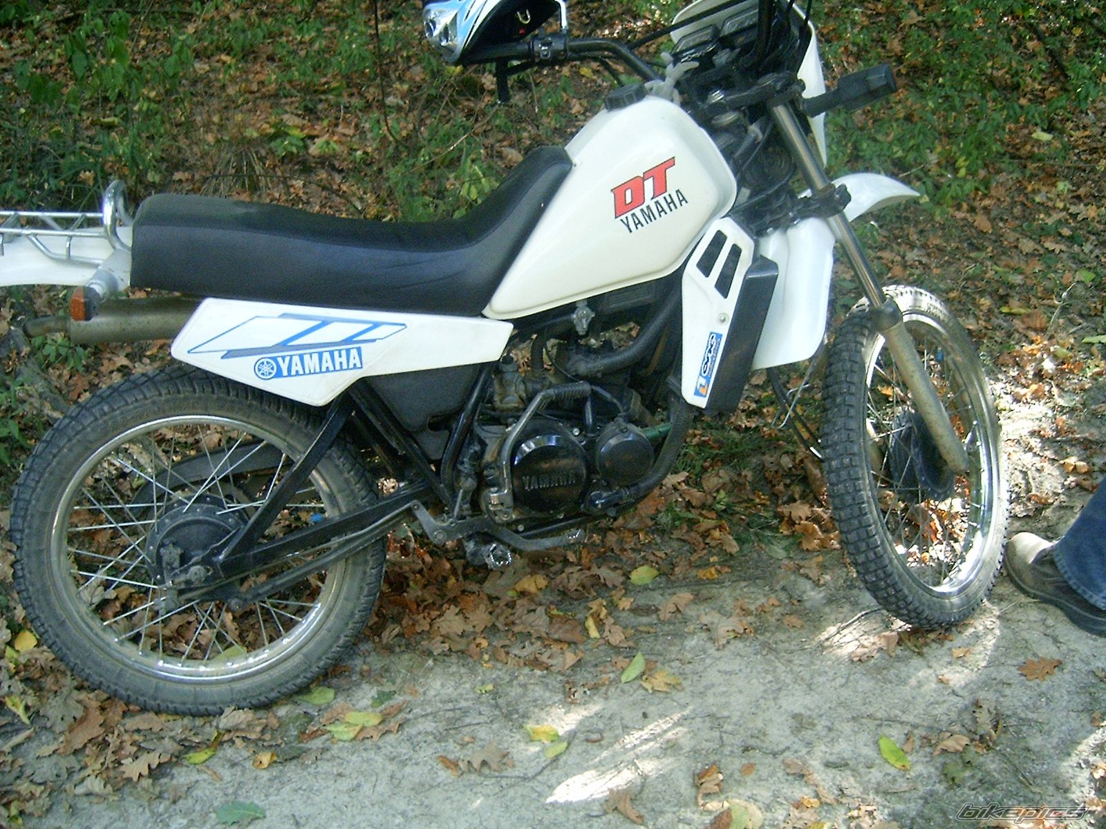 Bike Photo 879779