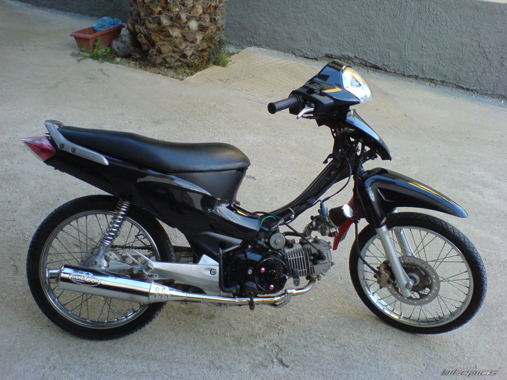 Photo 880011