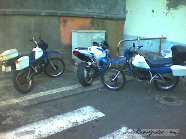 Photo 88011
